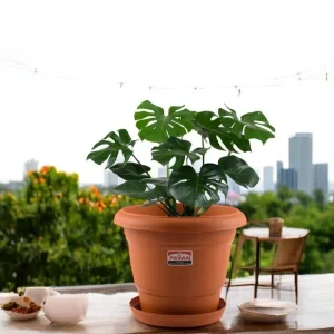 Pavan Flora Planter Pots 6, 8, 10, 12, 14 & 16 Inch – Brown Terracotta Finish Plastic Planter for Indoor & Outdoor Gardening