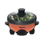 SKYLINE VTL333