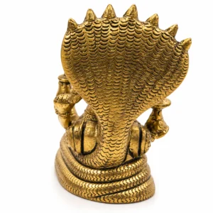 LAXMI VISHNU 23CM_3